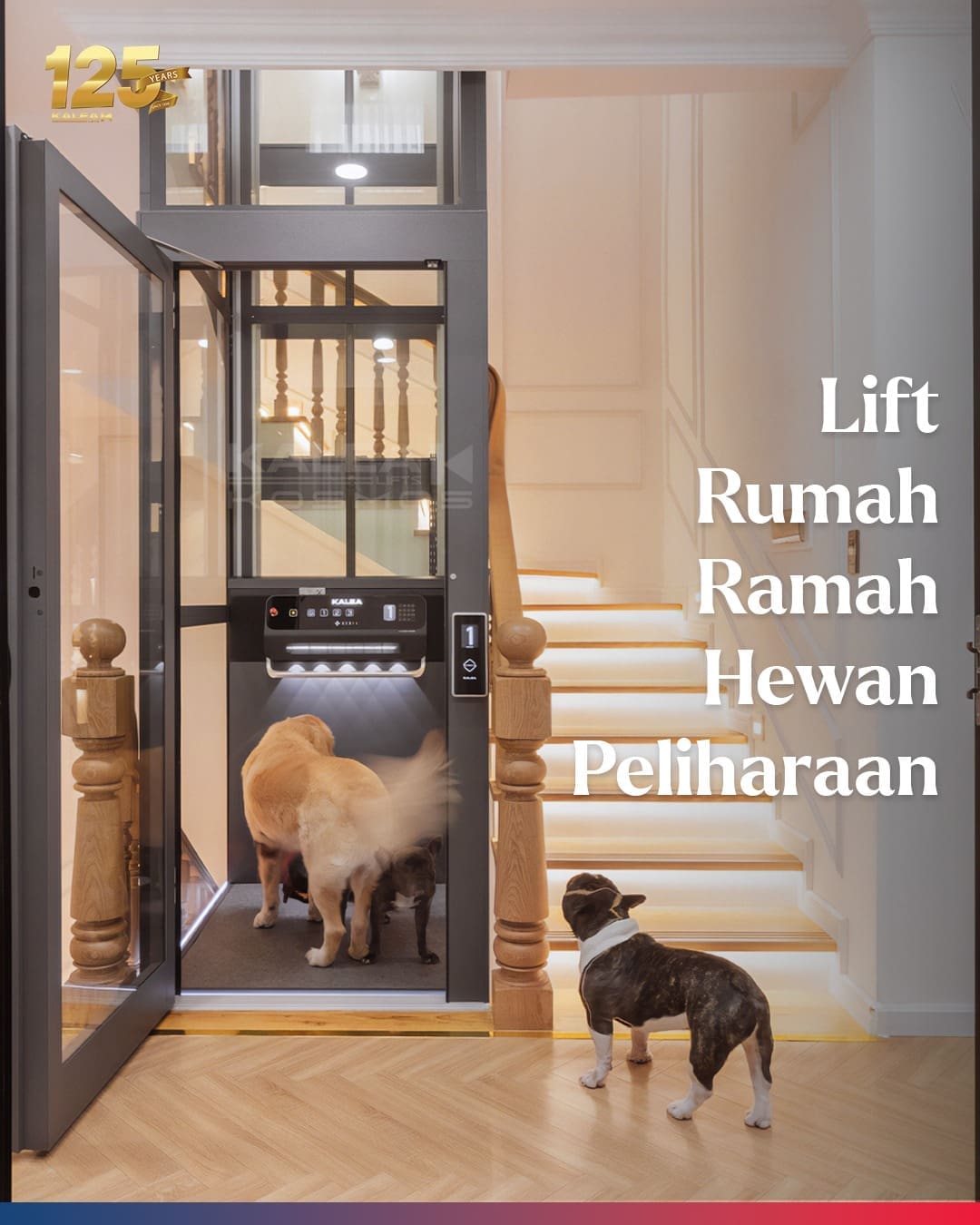 harga lift rumah