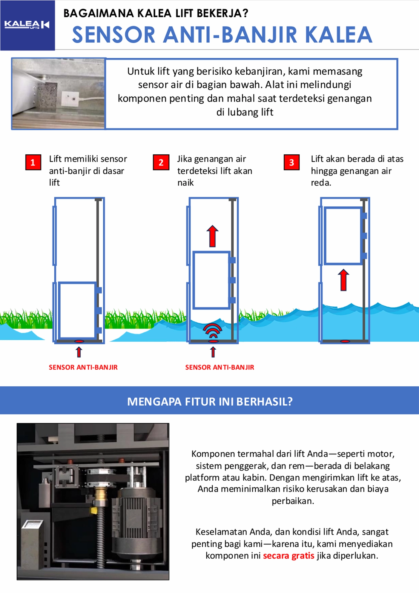 Lift Rumah di Area Rawan Banjir: Cara Melindungi Komponen Utama 5 4 2